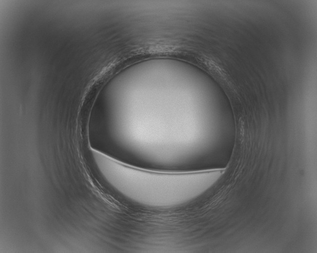 X0000054460684200507291022