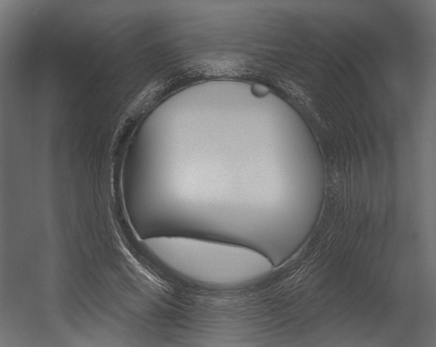 X0000054460686200507291022