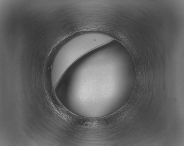 X0000054460688200507291022