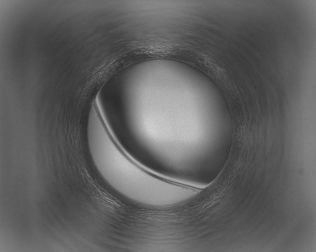 X0000054460689200507291022