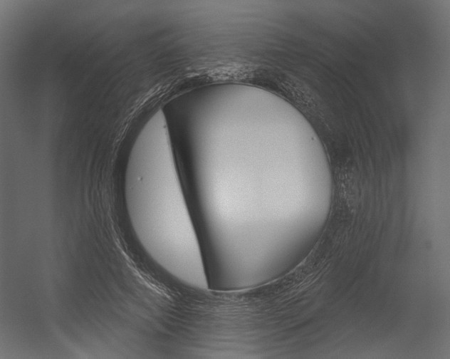 X0000054460690200507291022