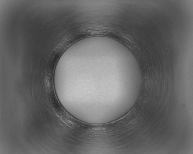 X0000054460691200507291022