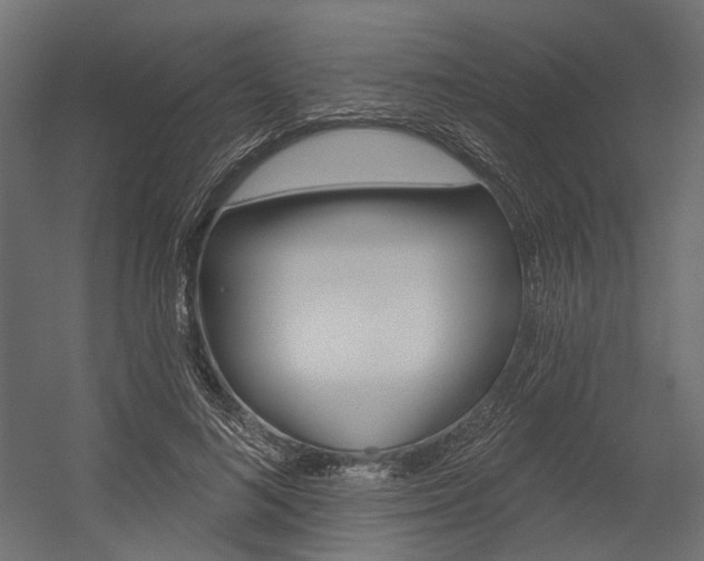 X0000054460692200507291022