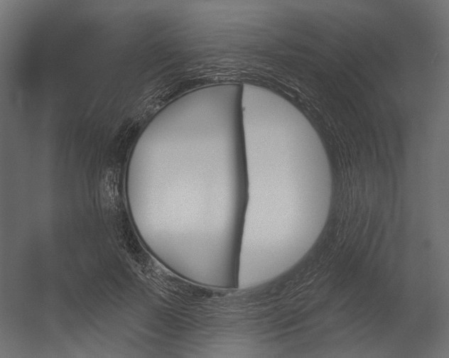 X0000054460695200507291021