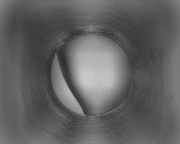 X0000054460696200507291021