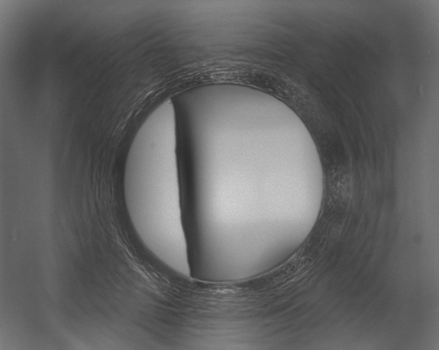 X0000054460698200507291021