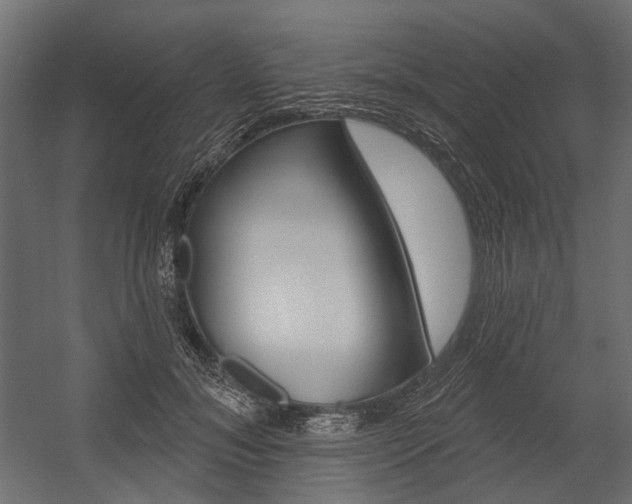 X0000054460700200507291021