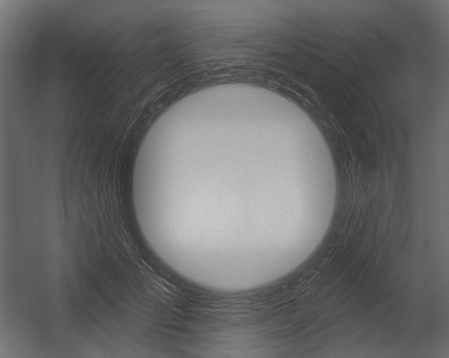 X0000054460701200507291021