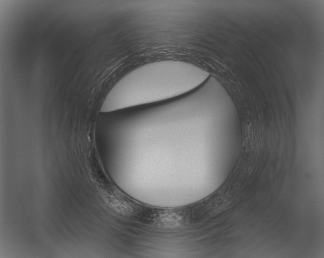 X0000054460702200507291021