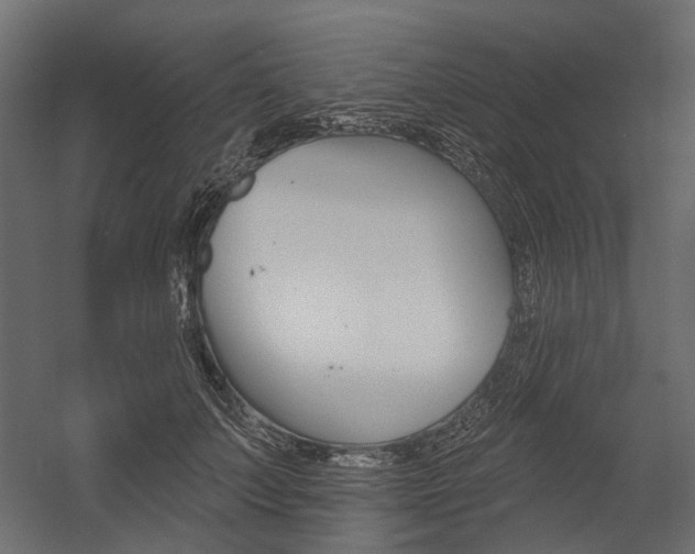 X0000054460703200507291021