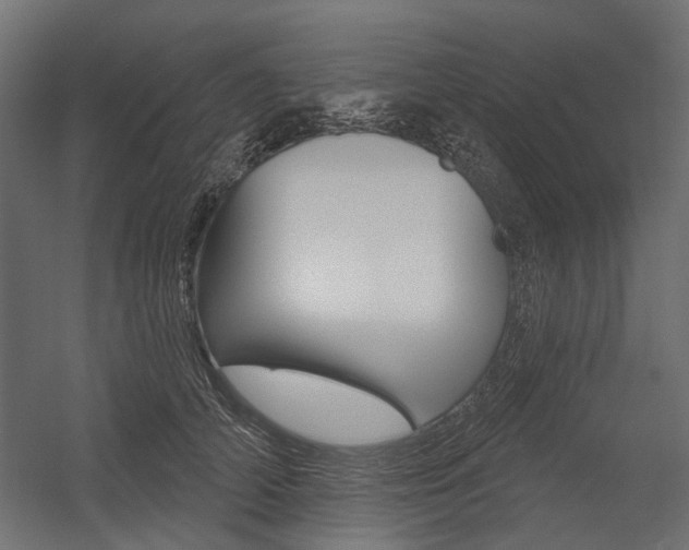 X0000054460706200507291021