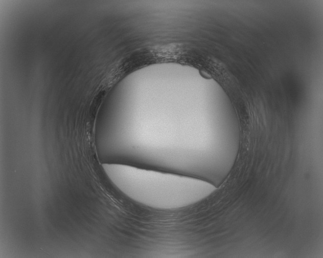 X0000054460707200507291021