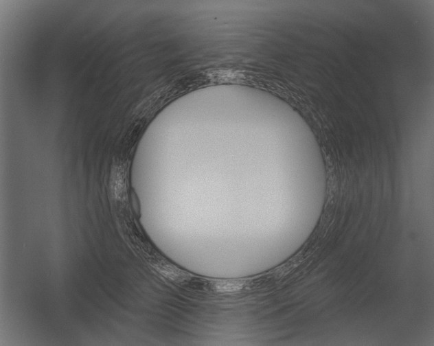X0000054460709200507291021