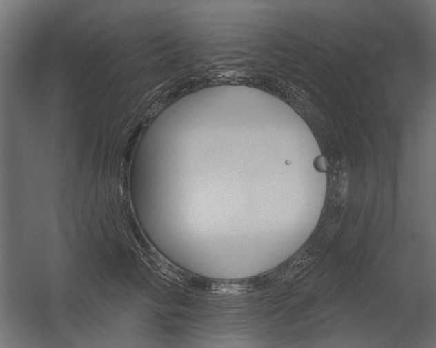 X0000054460710200507291021