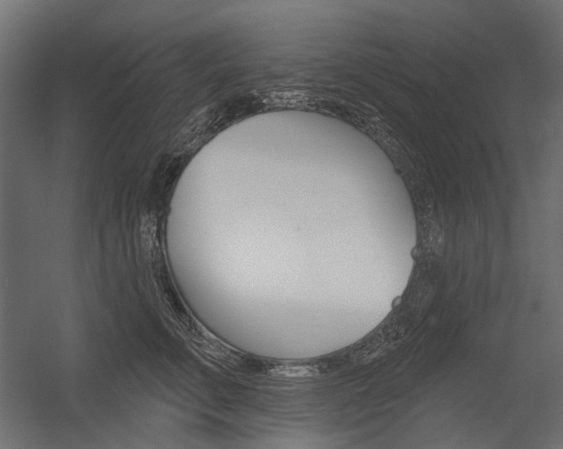 X0000054460711200507291021