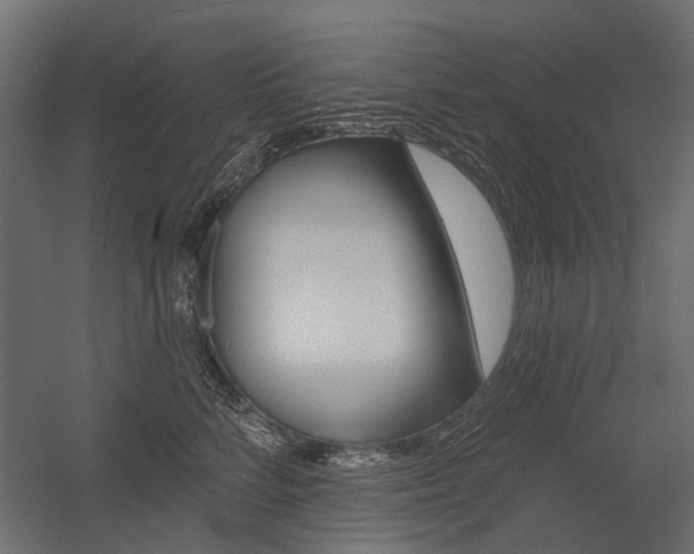 X0000054460712200507291021