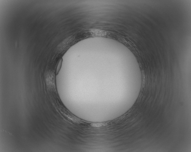 X0000054460713200507291021