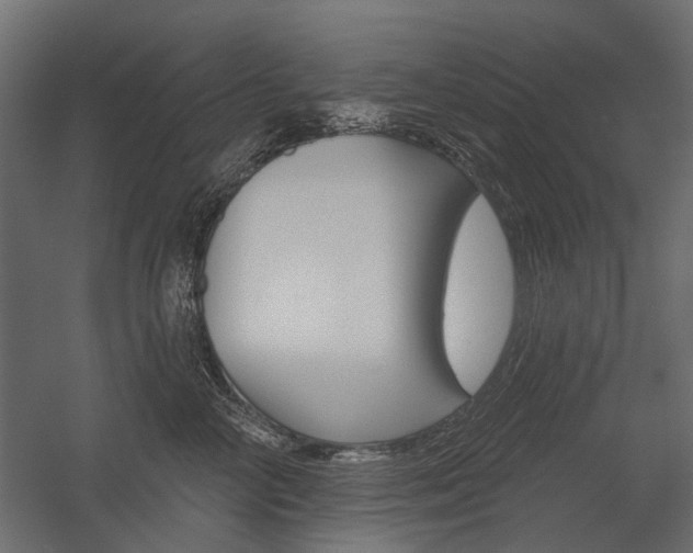 X0000054460714200507291021