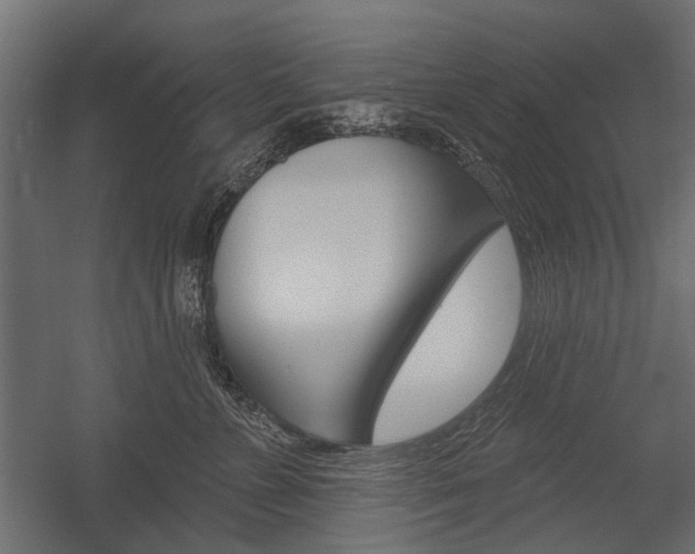 X0000054460715200507291021