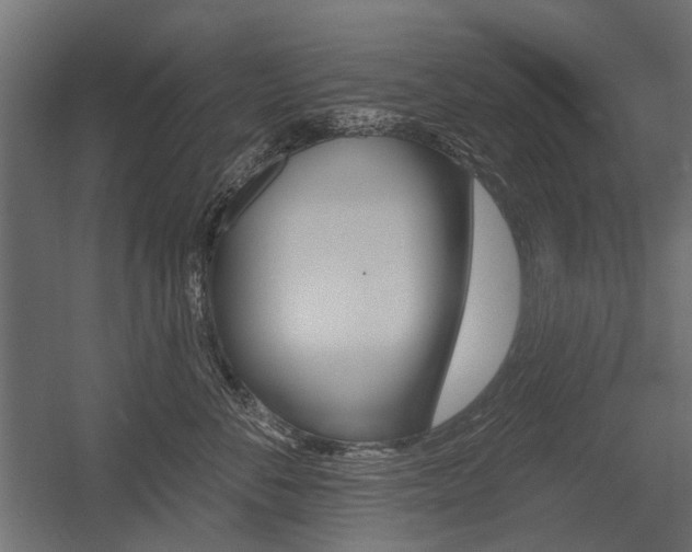 X0000054460716200507291021