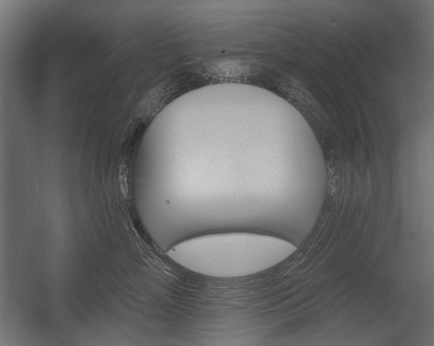 X0000054460718200507291021