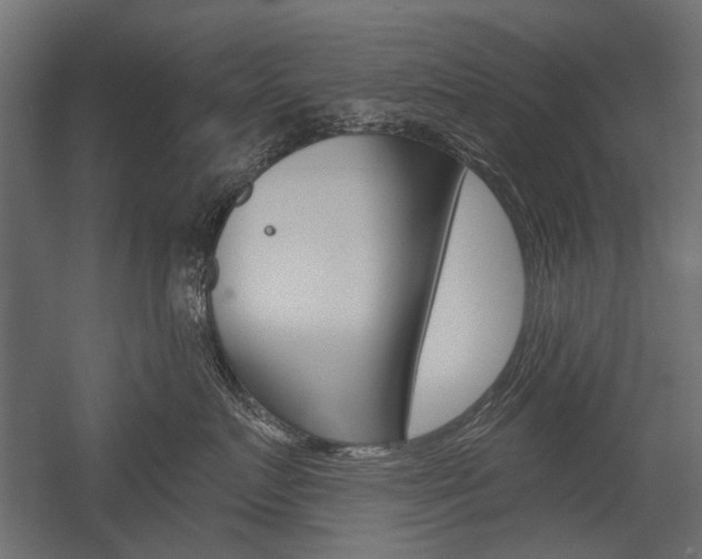X0000054460719200507291021