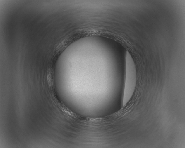 X0000054460720200507291021