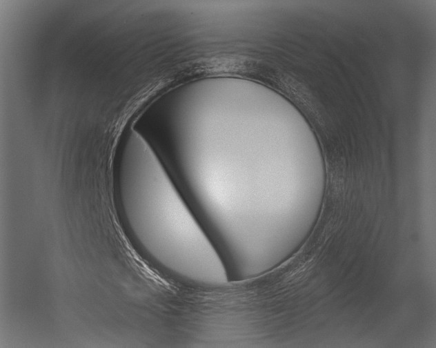 X0000054460721200507291020