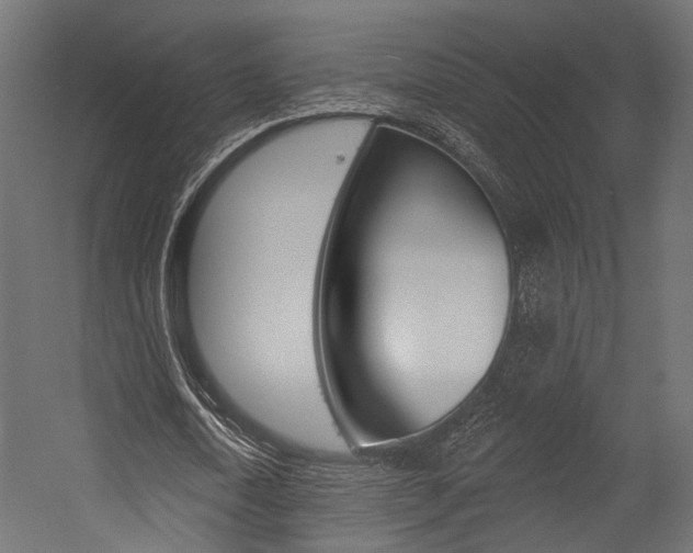 X0000054460722200507291020