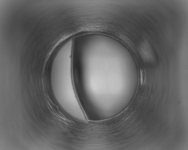 X0000054460723200507291020