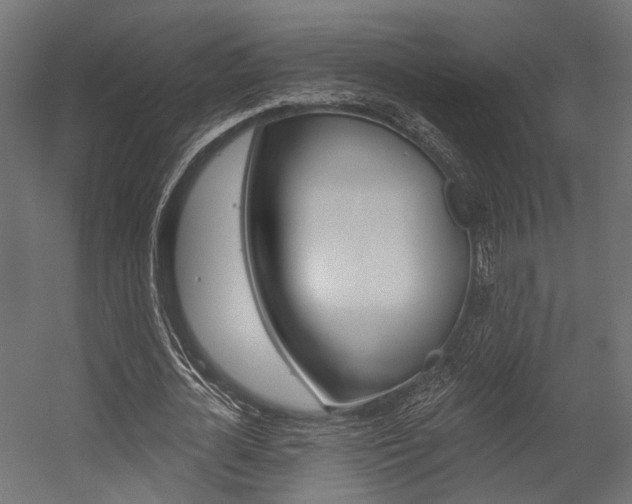 X0000054460724200507291020