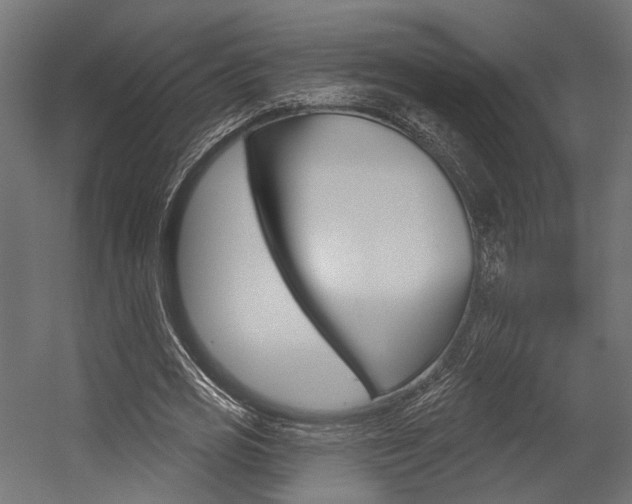 X0000054460725200507291020
