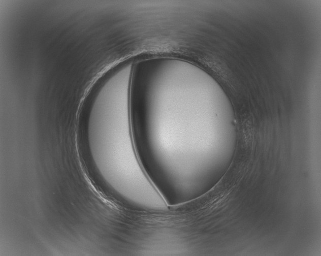 X0000054460728200507291020