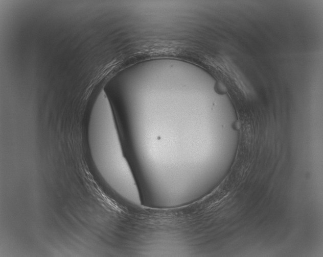 X0000054460729200507291020