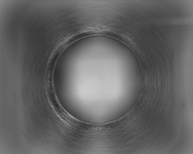 X0000054460736200507291020