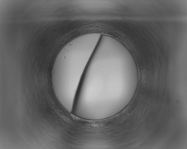 X0000054460737200507291021