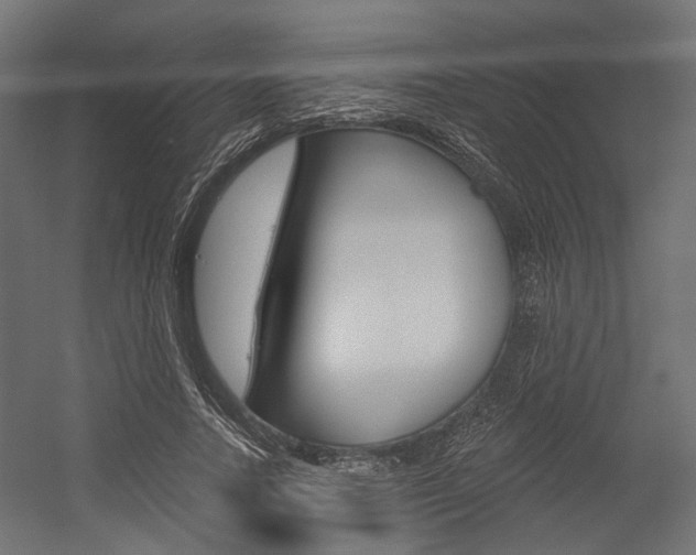 X0000054460738200507291021
