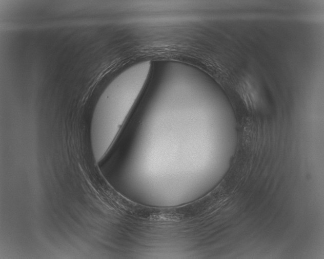 X0000054460739200507291021
