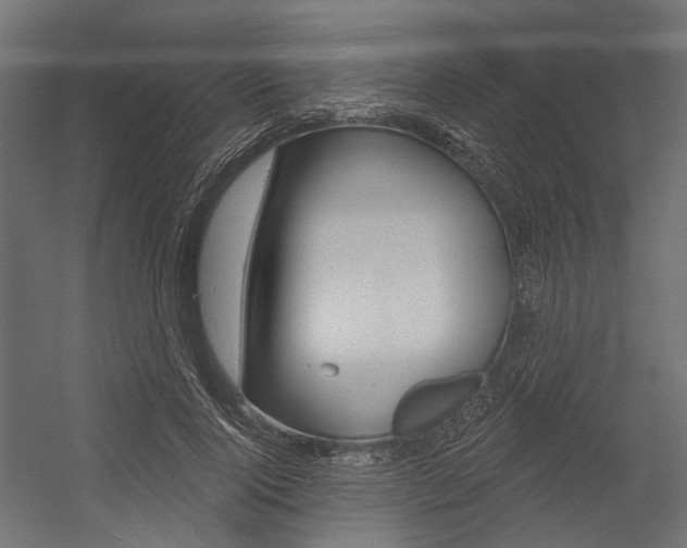 X0000054460740200507291021