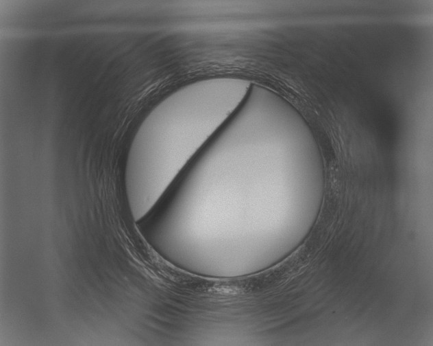 X0000054460741200507291021