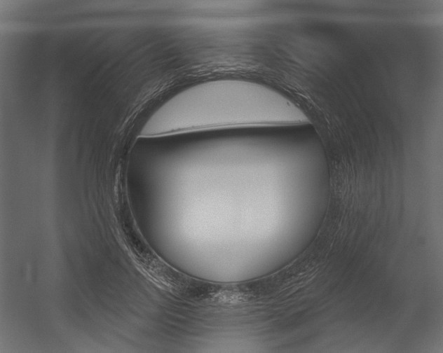 X0000054460742200507291021