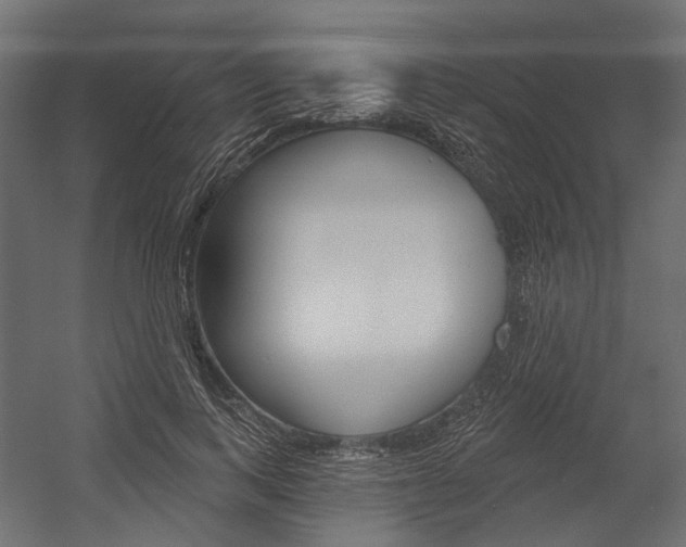 X0000054460743200507291021