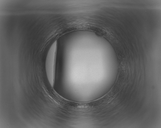X0000054460744200507291021