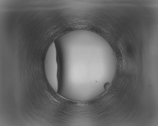 X0000054460745200507291021