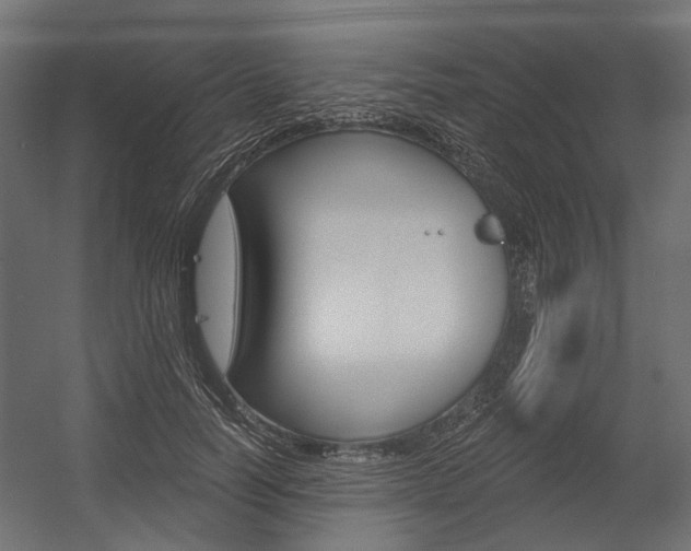 X0000054460746200507291021