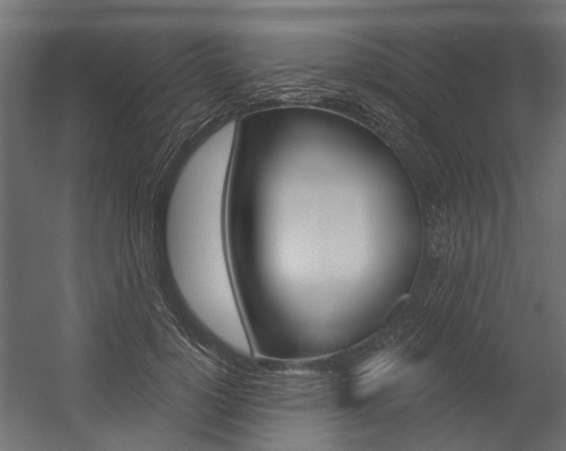 X0000054460748200507291021