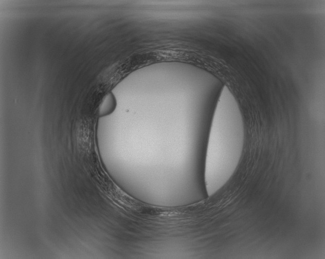 X0000054460749200507291021