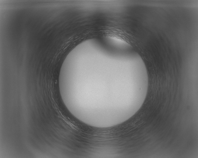 X0000054460750200507291021