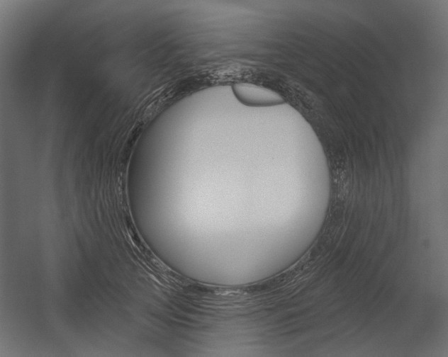 X0000054460753200507291021