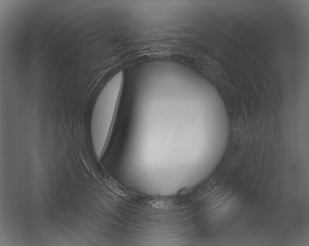 X0000054460755200507291021
